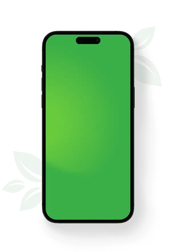 phone